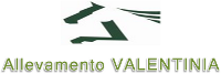 Logo Allevamento Valentinia